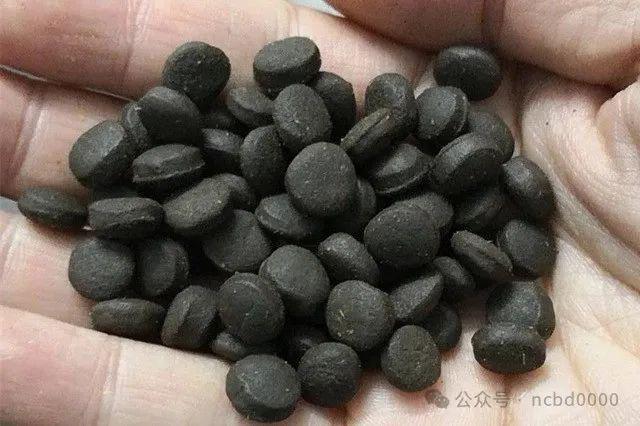鱼宝、日清、海大、福星、越群…斑料界时代大变革！谁是“2024石斑鱼饲料领导品牌”？请投票！(图1)