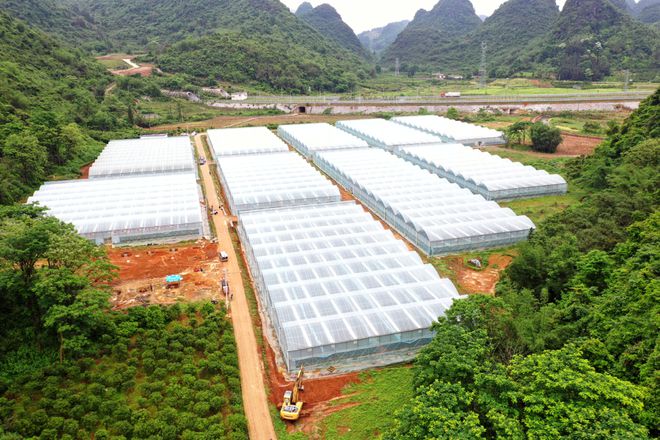 2024-2025年融安县加快推进现代设施农业高质量发展扶持政策来了(图5)