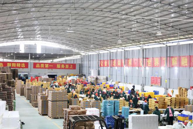 2024-2025年融安县加快推进现代设施农业高质量发展扶持政策来了(图2)