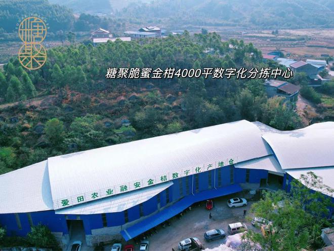 2024-2025年融安县加快推进现代设施农业高质量发展扶持政策来了(图3)