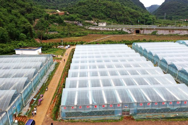 2024-2025年融安县加快推进现代设施农业高质量发展扶持政策来了(图4)