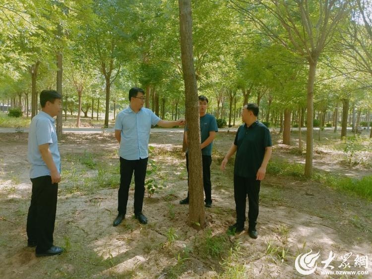 德州市自然资源局开展2024年林木种苗质量抽查工作_大众网(图1)
