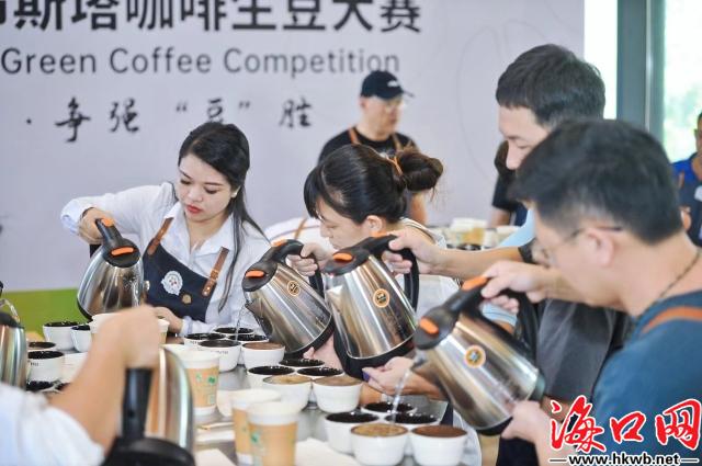 2024年海南罗布斯塔咖啡生豆大赛6月27日开幕(图2)
