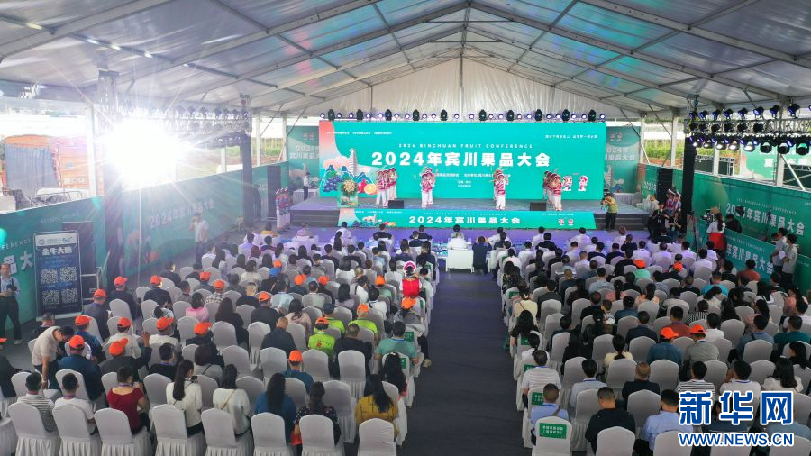 2024年云南宾川果品大会启动_新华网(图1)