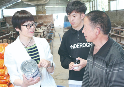 大学女教授王玉琴：培育肉羊新品种为养殖者创造利润6400多万元(图1)