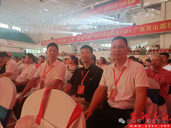 龙江村股份经济合作社参加2024广西灵山荔枝文化旅游节(图2)