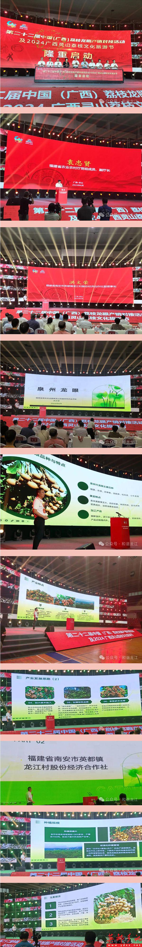 龙江村股份经济合作社参加2024广西灵山荔枝文化旅游节(图1)