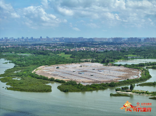 活力广东丰硕岭南！2024丰收中国万里行首站圆满落幕(图4)