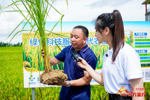 活力广东丰硕岭南！2024丰收中国万里行首站圆满落幕(图10)