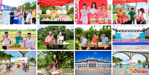 活力广东丰硕岭南！2024丰收中国万里行首站圆满落幕(图13)