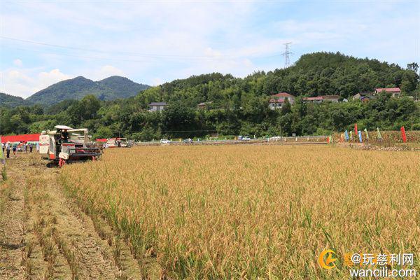 张家界市2024年水稻机插秧、机收减损比武现场观摩会在慈利举行(图2)