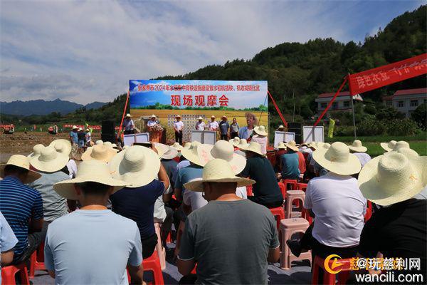 张家界市2024年水稻机插秧、机收减损比武现场观摩会在慈利举行(图1)