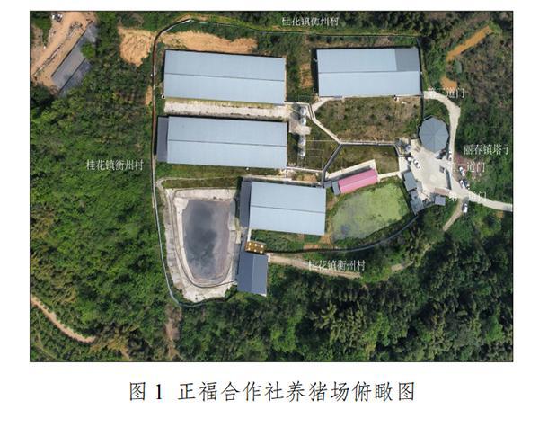 调查报告：四川一生猪合作社中毒窒息事故致7死存在盲目施救(图1)