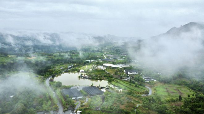 2024全国经济媒体巴中行丨巴州区中药材现代农业园区：药旅融合催生振兴新风景(图1)