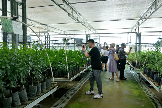 2024全国经济媒体巴中行丨巴州区中药材现代农业园区：药旅融合催生振兴新风景(图4)