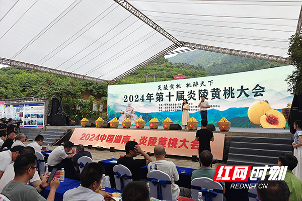2024第十届炎陵黄桃大会开幕(图1)