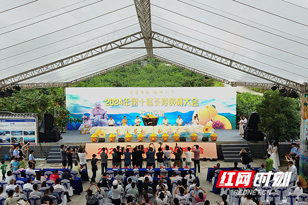 2024第十届炎陵黄桃大会开幕(图2)
