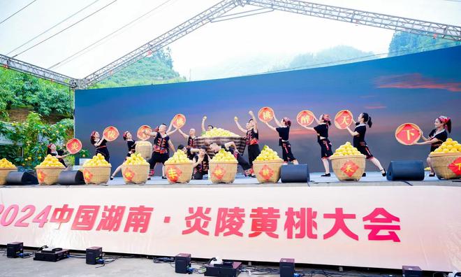 2024年中国·炎陵第十届黄桃大会开幕(图1)