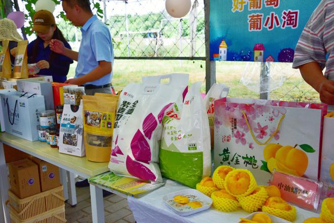 2024西咸新区葡萄采摘季暨葡小淘采摘节开幕！(图4)