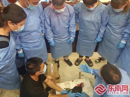 永泰县举办高素质农民村级防疫员及畜禽养殖人才培训班(图2)
