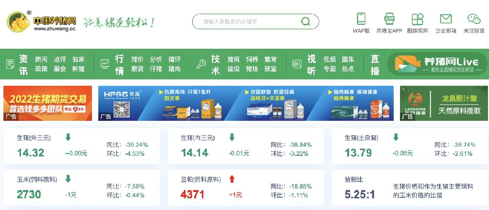 利润盈转亏！猪网预测行业2024年焕发新生(图1)