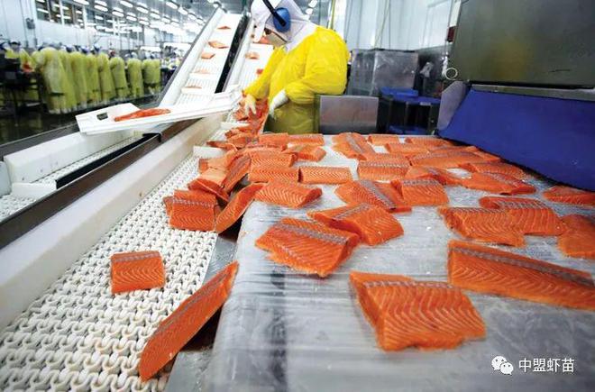 惊喜！2024年水产养殖行业将回暖鱼虾谁将率先回暖？(图1)