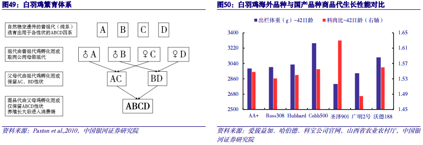 【中国银河农业】2024年度策略：直面行业低谷期静候种养双链之佳音(图16)