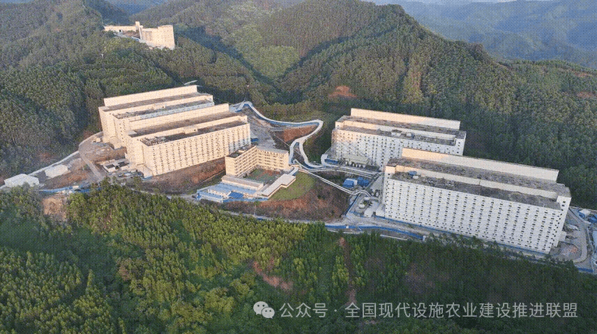 2024年现代设施农业重大引领性推广技术（十三）智能设施楼房猪场高效养殖集成技术(图3)