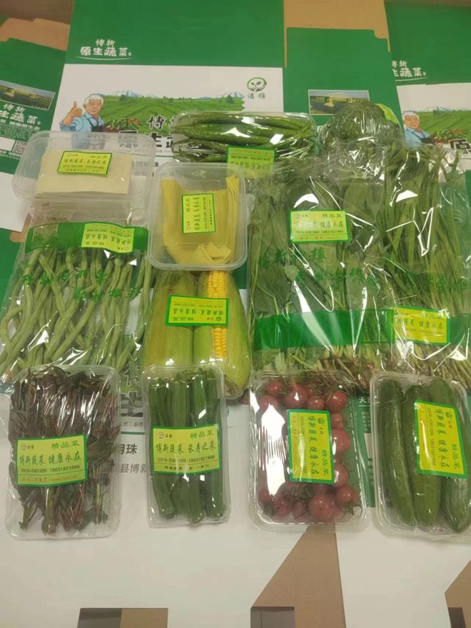 2024中国故城县优秀品牌农特产品展示丨故城县博新种植专业合作社(图1)