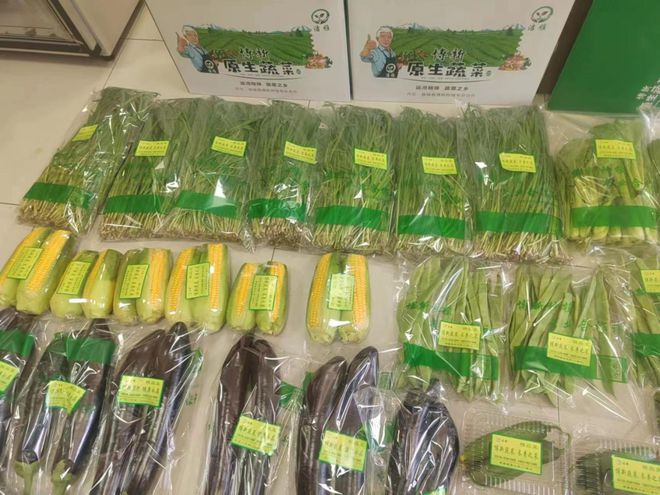2024中国故城县优秀品牌农特产品展示丨故城县博新种植专业合作社(图2)
