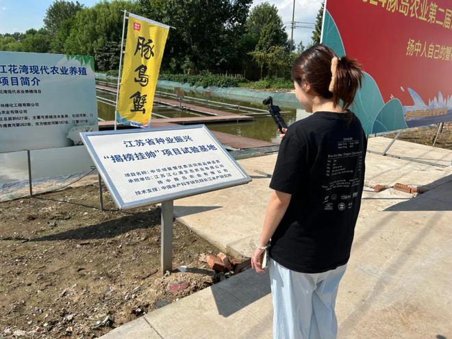 金秋蟹肥共襄盛举——2024豚岛农业第二届江水养殖蟹开捕节盛大开幕(图2)
