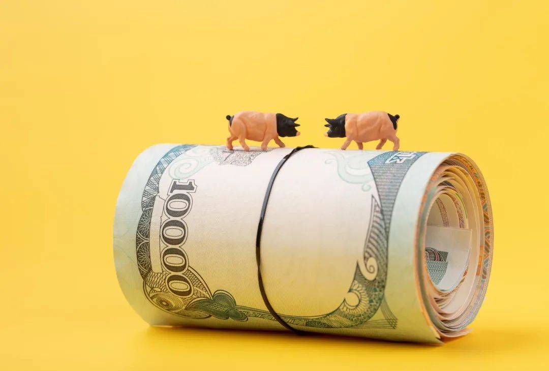 能繁母猪同比再降10%但需求顶峰已过2024年开年猪价延续下行走势！(图1)