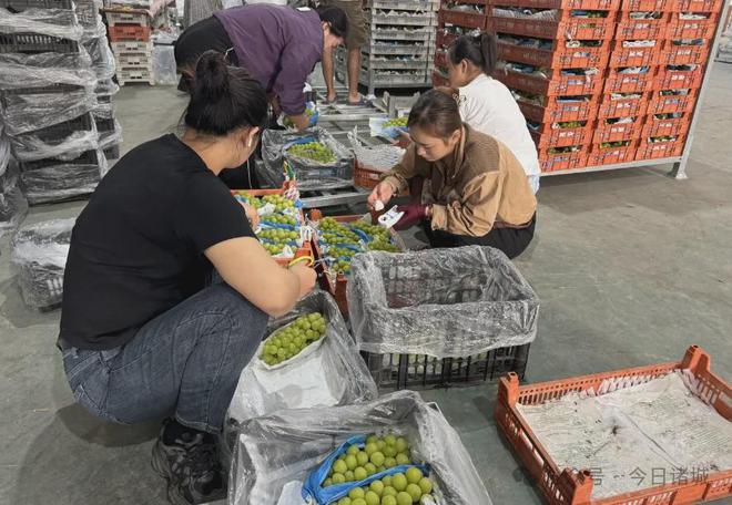 18个合作社试水！合力打造自己的乡土品牌(图2)