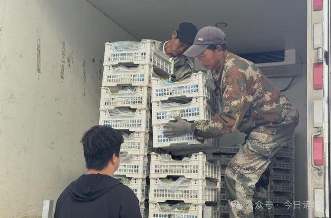 18个合作社试水！合力打造自己的乡土品牌(图3)