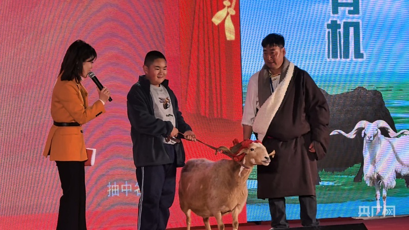 感受泽库冬日魅力品尝草原醇香美味(图2)
