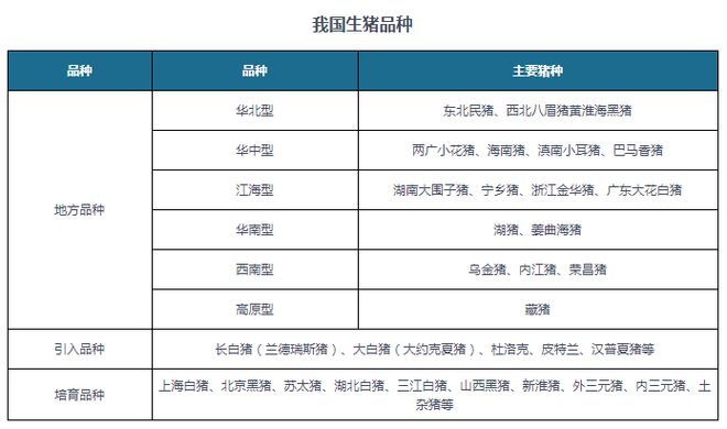 中国生猪养殖行业现状深度分析与投资前景研究报告（2024-2031）(图1)