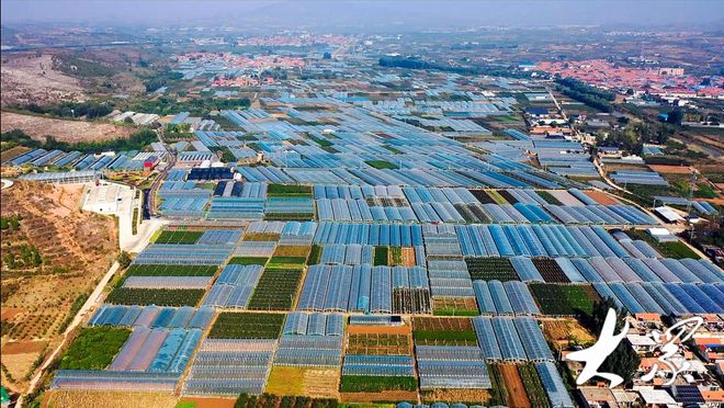 扶持A、B级清理整顿D级！平邑县分级分类管理2182家农民合作社(图2)