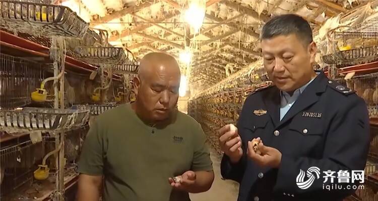 潍坊：特色种养殖多点开花乡村振兴活力迸发(图3)