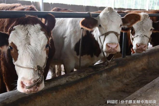 千万别错过！2024年家庭农场政策补贴农业项目在200万元以上！(图1)