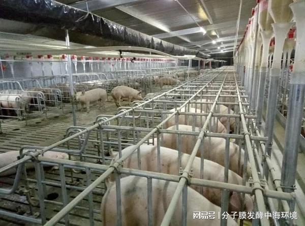 养殖补贴一览养殖场粪污堆肥最全补贴？养牛场最高达170万！(图3)