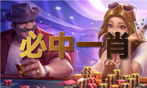 2024年奥马49049(图1)