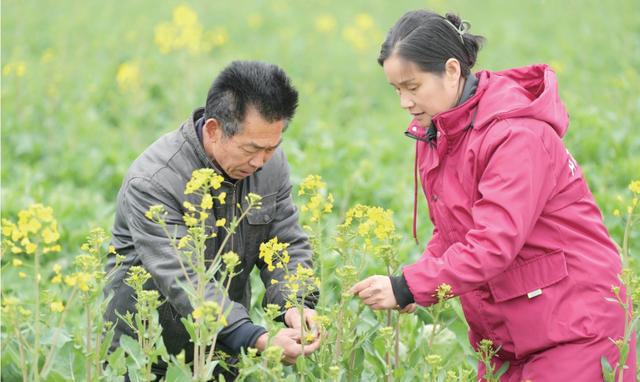 【在荆全国人大代表风采】毕利霞：共富“稻”路越走越宽广(图1)