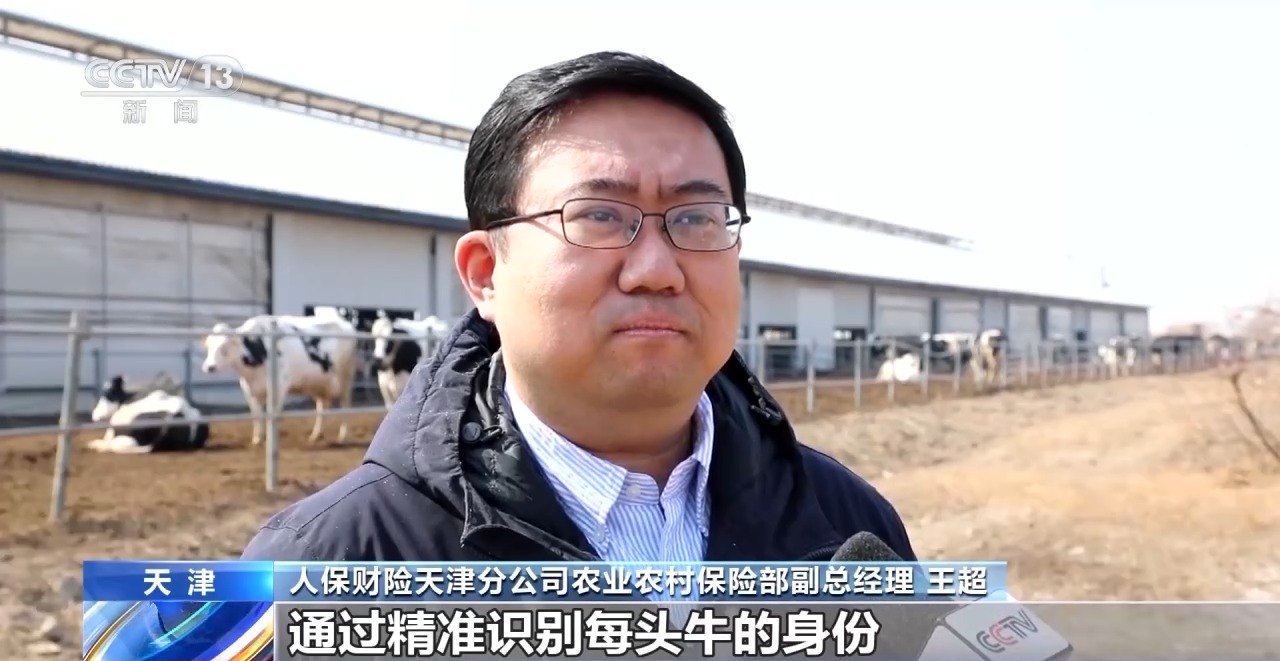 “牛脸识别”助力农业保险产业发展有效率更有底气(图2)