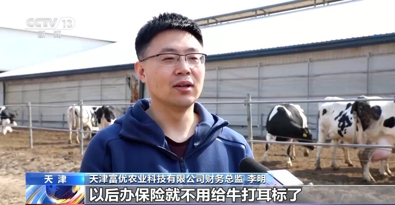 “牛脸识别”助力农业保险产业发展有效率更有底气(图1)