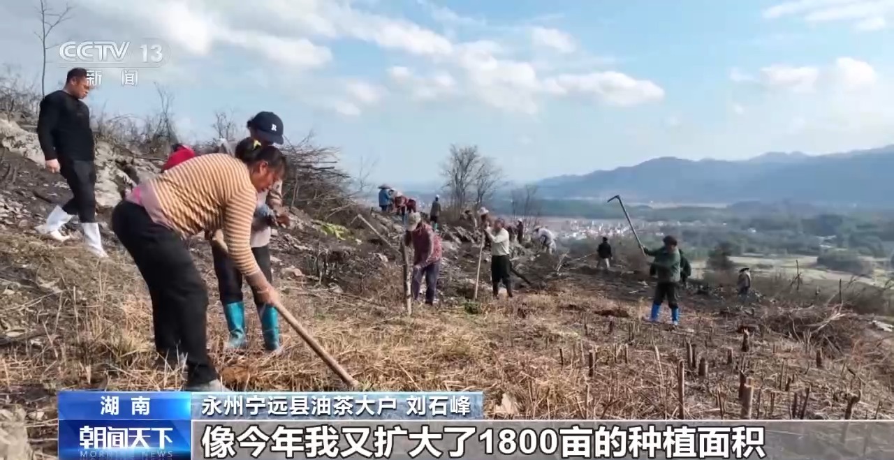 “牛脸识别”助力农业保险产业发展有效率更有底气(图6)