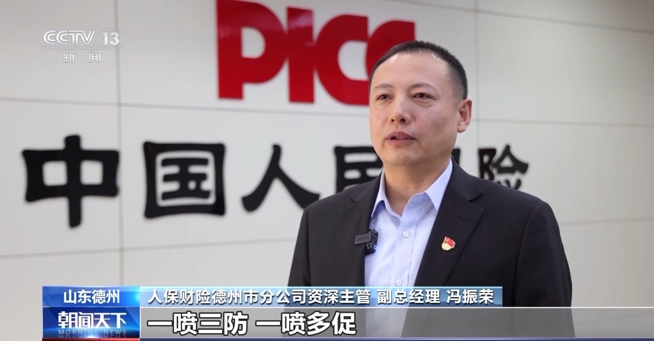 “牛脸识别”助力农业保险产业发展有效率更有底气(图13)
