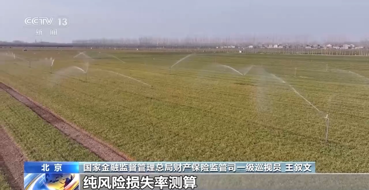 “牛脸识别”助力农业保险产业发展有效率更有底气(图15)