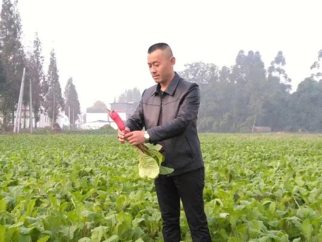 躬耕田野中闪耀党旗下：“徐昌国”荣获“四川省2024年度新兴领域优秀党务工作者”(图3)