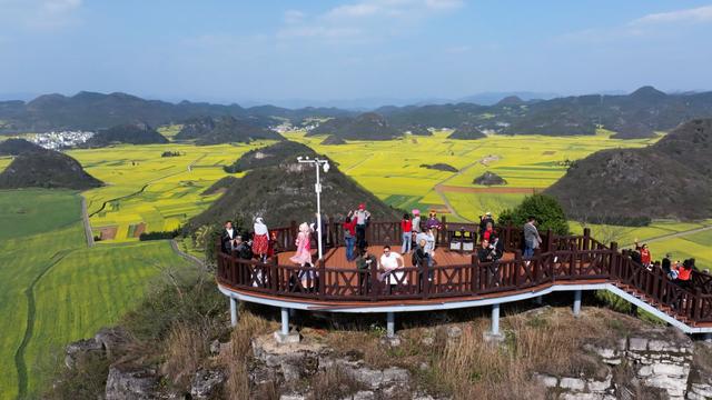 曲靖罗平：“赏花经济”既有“颜值”又有“产值”(图3)