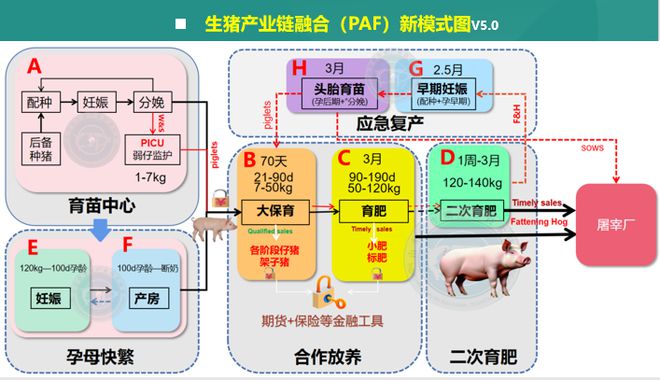 2025中国畜牧业十大预测(图2)